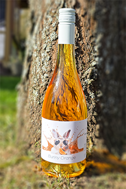 Aperitif Bunny Orange